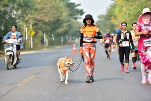 BIB: 49089
                            <button type="button" onclick="openModal(10196299)" class="btn btn-primary btn-sm float-right btn-popup" data-toggle="modal" data-target=".modal-high-quality">
                        <i class="fas fa-shopping-cart"></i> Add to Cart
                    </button>
                                            <button type="button" onclick="isThisMe(10196299, true)" class="btn btn-success btn-sm float-right btn-popup btn-isme hidden" data-toggle="tooltip" data-placement="bottom" title="นี่คือรูปของคุณใช่ไหม คลิกที่นี่เพื่อเอาเข้าอัลบั้ม">
                        <i class="fas fa-plus"></i> Add to album
                    </button>
                    <button type="button" onclick="isThisMe(10196299, false)" class="btn btn-warning btn-sm float-right btn-popup btn-isnotme hidden">
                        <i class="fas fa-ban"></i> Remove from album
                    </button>